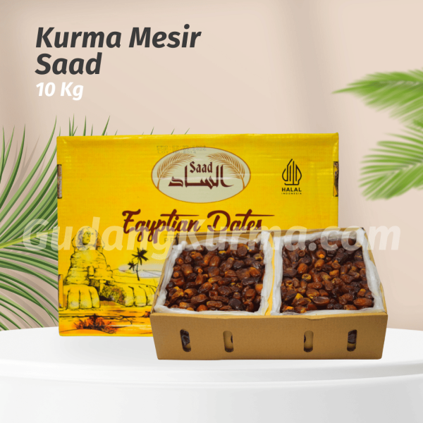 KURMA MESIR SAAD