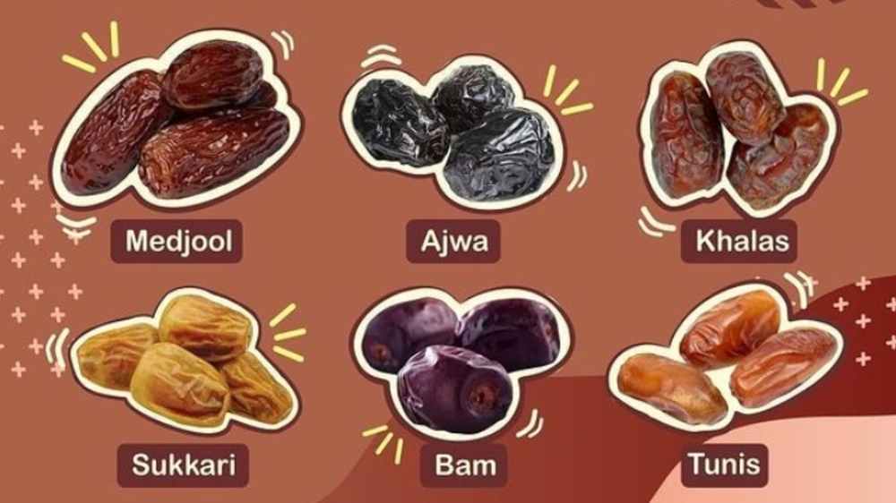 Kurma adalah buah yang sangat populer, terutama saat bulan Ramadan. Selain memiliki rasa manis alami yang lezat, kurma juga dikenal memiliki banyak manfaat kesehatan. Namun, tahukah kamu bahwa tidak semua kurma itu sama? Ada berbagai jenis kurma dengan rasa, tekstur, dan manfaat yang berbeda. Mari kita mengenal beberapa jenis kurma yang paling terkenal di dunia!